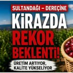İZMİR MARBLE 2025 FUARI AFYONLU MERMERCİLER İÇİN NASIL GEÇTİ?