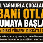 LÜTFEN ABARTMAYIN VE ÇARPITMAYIN; KONU BELEDİYE DEĞİL.